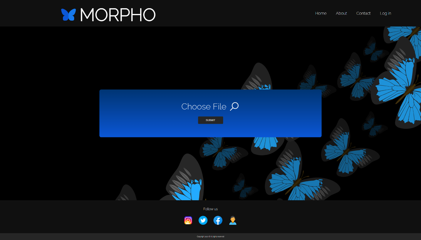 ImageMorpho